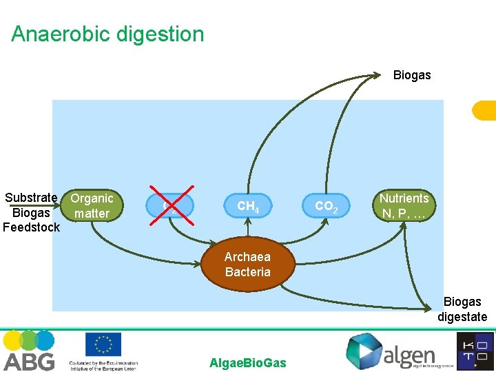 Anaerobic digestion Biogas Substrate Organic Biogas matter Feedstock O 2 CH 4 CO 2