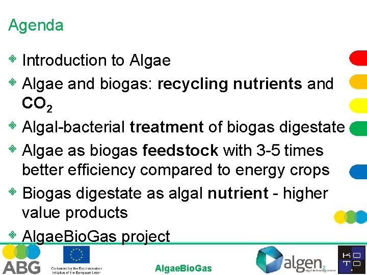 Agenda • Introduction to Algae • Algae and biogas: recycling nutrients and CO 2