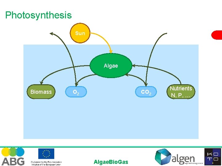 Photosynthesis Sun Algae Biomass O 2 CO 2 Algae. Bio. Gas Nutrients N, P,