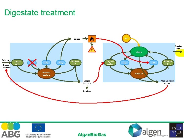 Digestate treatment Sun Biogas Treated water Algae Substrate Biogas Feedstock Organic matter O 2