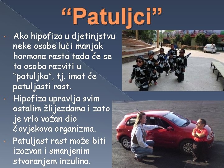 “Patuljci” Ako hipofiza u djetinjstvu neke osobe luči manjak hormona rasta tada će se