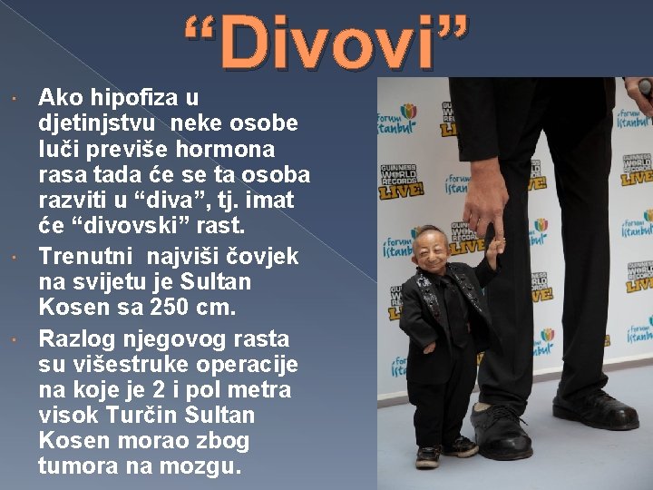 “Divovi” Ako hipofiza u djetinjstvu neke osobe luči previše hormona rasa tada će se