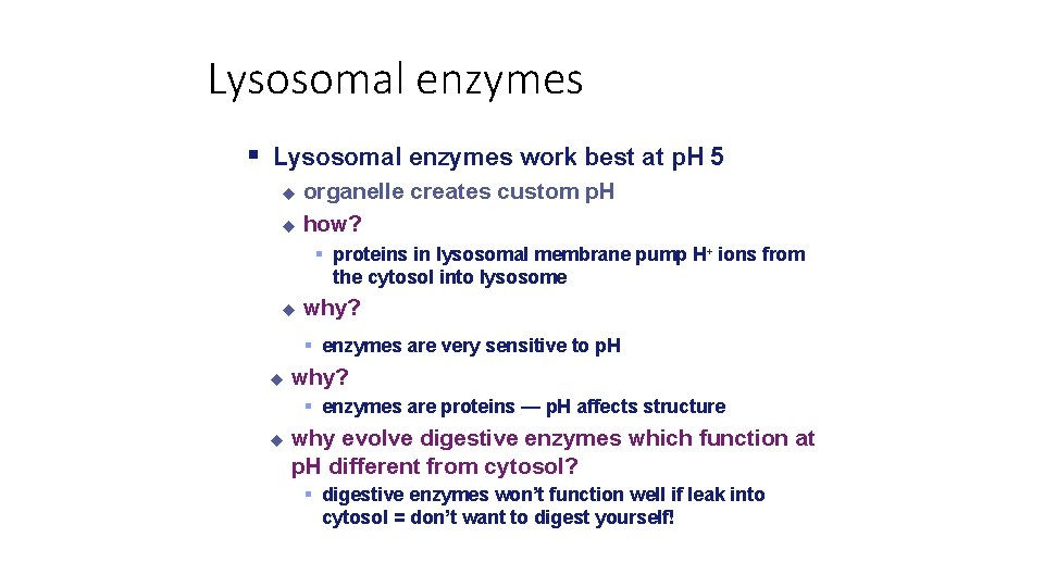 Lysosomal enzymes work best at p. H 5 organelle creates custom p. H how?