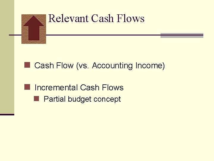 Relevant Cash Flows n Cash Flow (vs. Accounting Income) n Incremental Cash Flows n