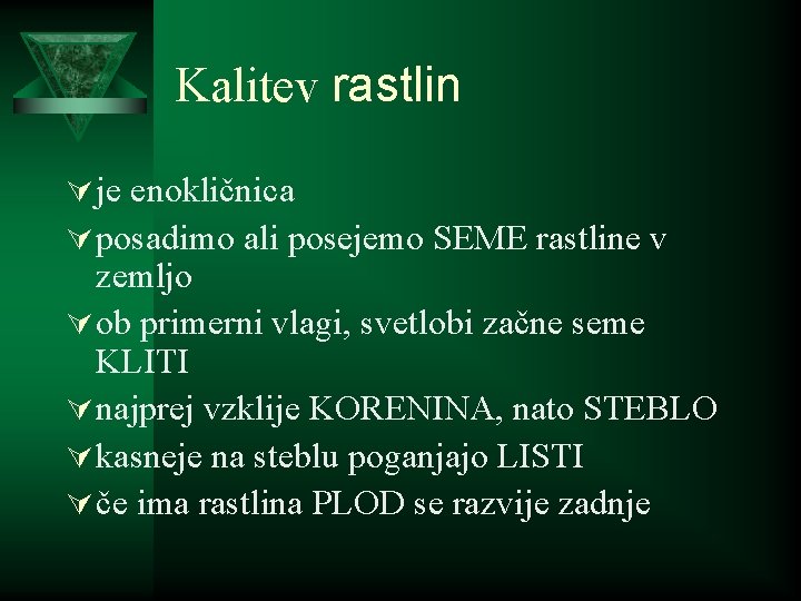 Kalitev rastlin Ú je enokličnica Ú posadimo ali posejemo SEME rastline v zemljo Ú