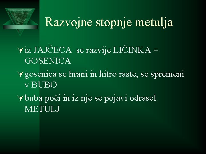 Razvojne stopnje metulja Ú iz JAJČECA se razvije LIČINKA = GOSENICA Ú gosenica se