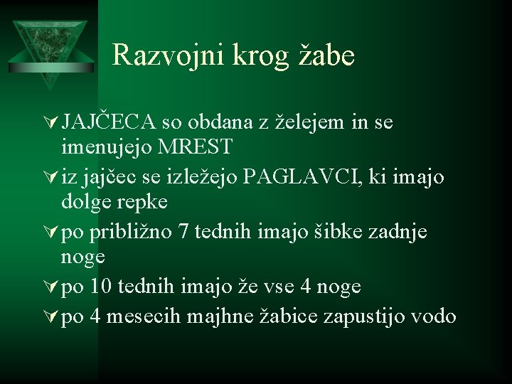 Razvojni krog žabe Ú JAJČECA so obdana z želejem in se imenujejo MREST Ú