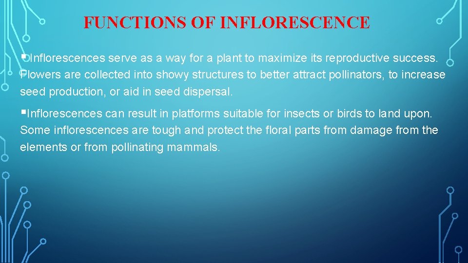 FUNCTIONS OF INFLORESCENCE § Inflorescences serve as a way for a plant to maximize