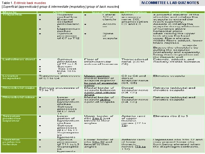 Table 1. Extrinsic back muscles [Superficial (appendicular) group & intermediate (respiratory) group of back