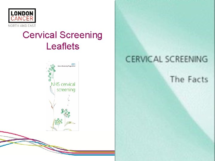 Slide 7 Cervical Screening Leaflets 