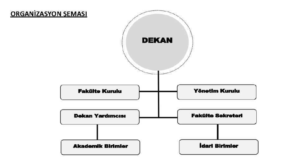 ORGANİZASYON ŞEMASI 