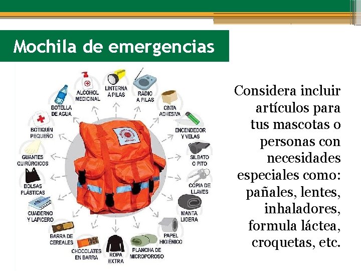 Mochila de emergencias Considera incluir artículos para tus mascotas o personas con necesidades especiales