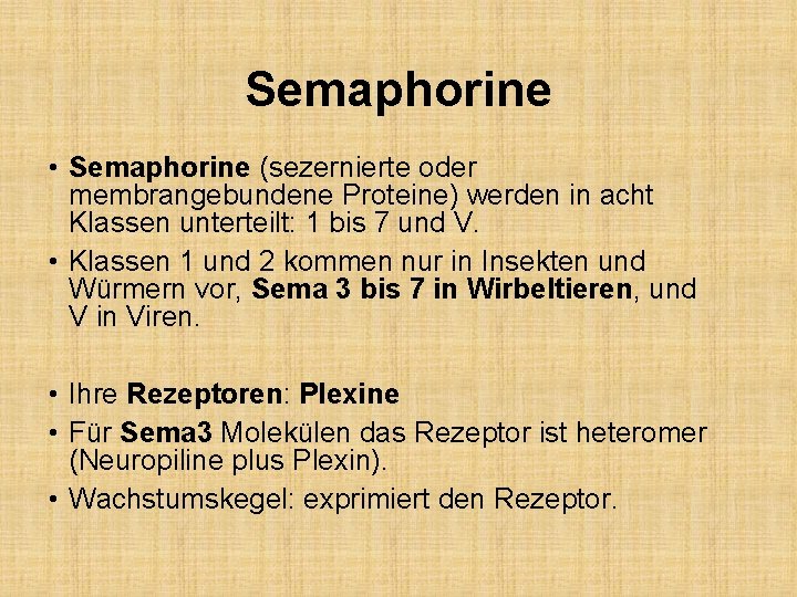Semaphorine • Semaphorine (sezernierte oder membrangebundene Proteine) werden in acht Klassen unterteilt: 1 bis