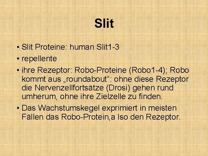 Slit • Slit Proteine: human Slit 1 -3 • repellente • ihre Rezeptor: Robo-Proteine