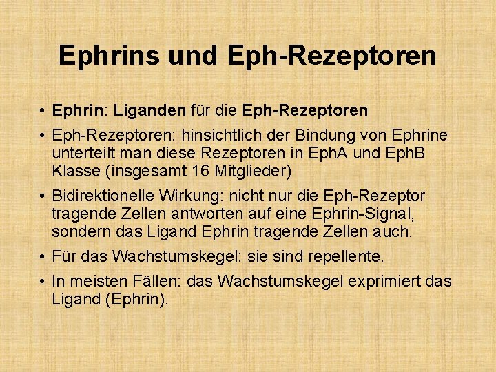 Ephrins und Eph-Rezeptoren • Ephrin: Liganden für die Eph-Rezeptoren • Eph-Rezeptoren: hinsichtlich der Bindung