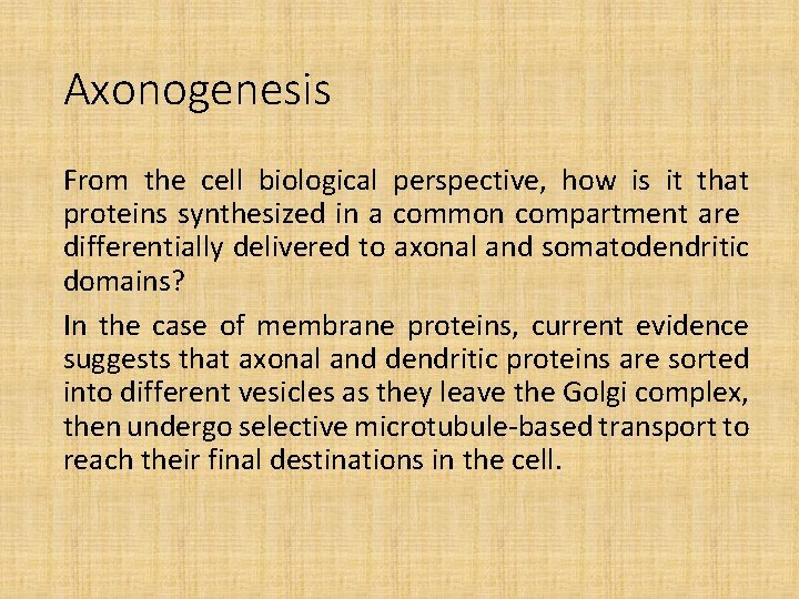 Axonogenesis From the cell biological perspective, how is it that proteins synthesized in a