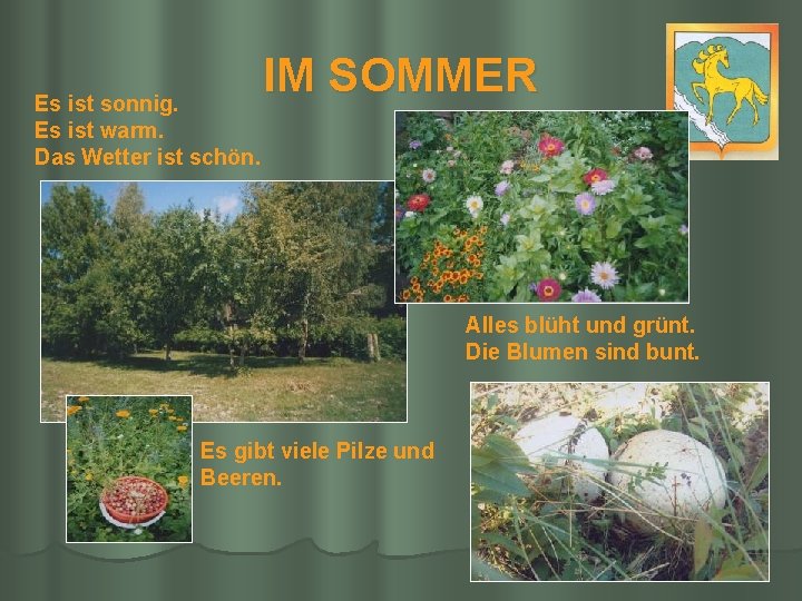 Es ist sonnig. Es ist warm. Das Wetter ist schön. IM SOMMER Alles blüht