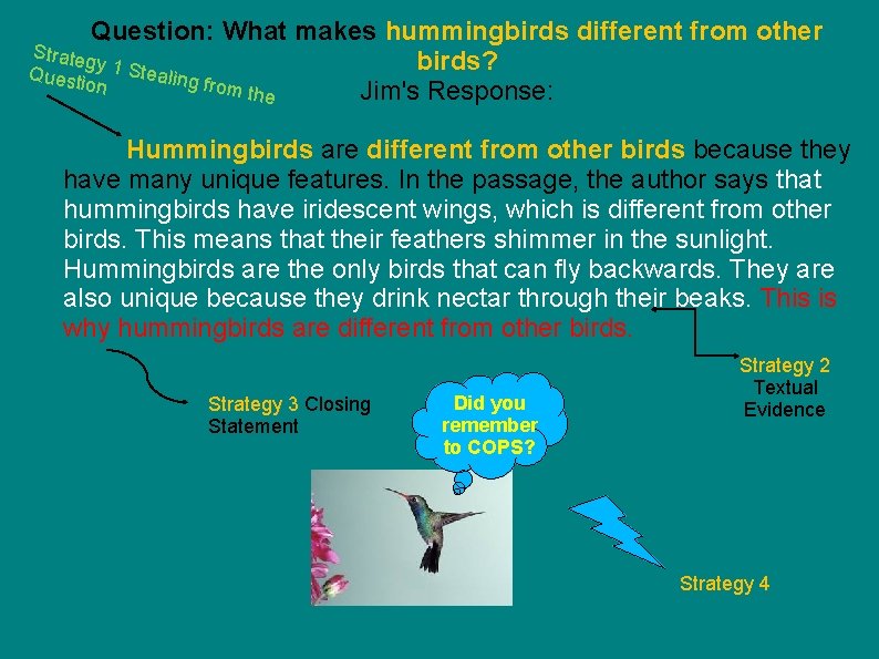 Question: What makes hummingbirds different from other Strate g birds? Quest y 1 Stealing