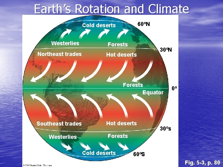 Earth’s Rotation and Climate 60ºN Cold deserts Westerlies Northeast trades Forests Hot deserts 30ºN