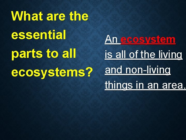 What are the essential parts to all ecosystems? An ecosystem is all of the What are the essential parts to all ecosystems? An ecosystem is all of the