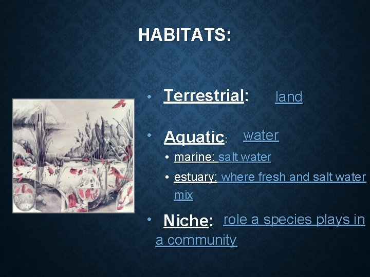 HABITATS: • Terrestrial: • Aquatic: land water • marine: salt water • estuary: where