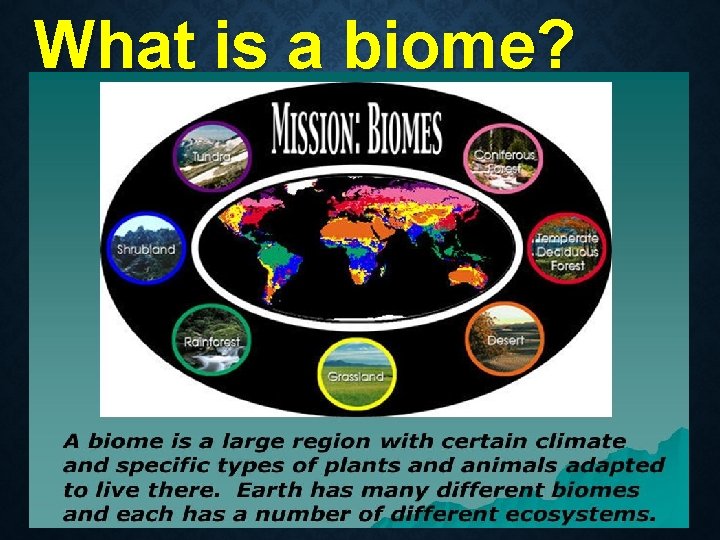 What is a biome?  What is a biome?