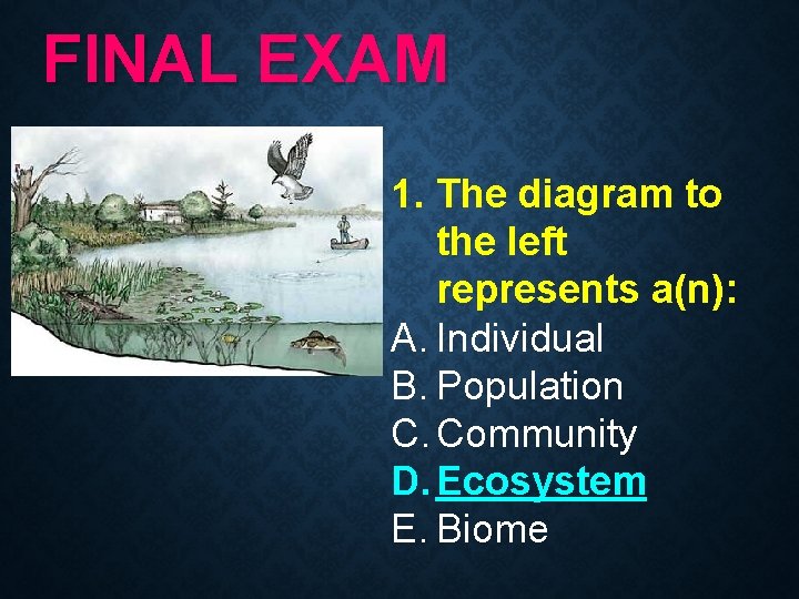 FINAL EXAM 1. The diagram to the left represents a(n): A. Individual B. Population FINAL EXAM 1. The diagram to the left represents a(n): A. Individual B. Population