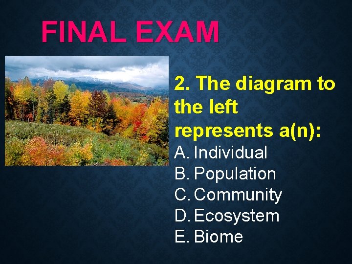 FINAL EXAM 2. The diagram to the left represents a(n): A. Individual B. Population FINAL EXAM 2. The diagram to the left represents a(n): A. Individual B. Population
