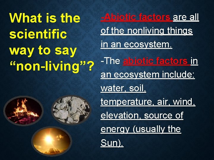 What is the scientific way to say “non-living”? -Abiotic factors are all of the What is the scientific way to say “non-living”? -Abiotic factors are all of the