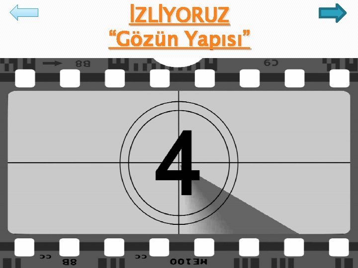 İZLİYORUZ “Gözün Yapısı” 