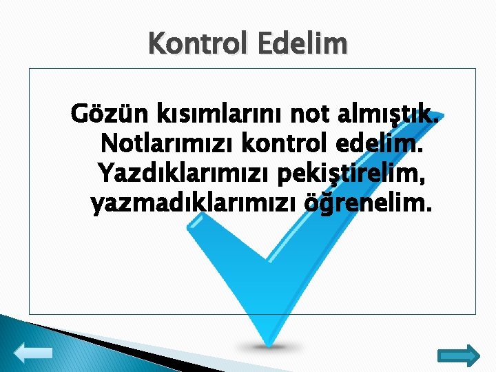 Kontrol Edelim Gözün kısımlarını not almıştık. Notlarımızı kontrol edelim. Yazdıklarımızı pekiştirelim, yazmadıklarımızı öğrenelim. 