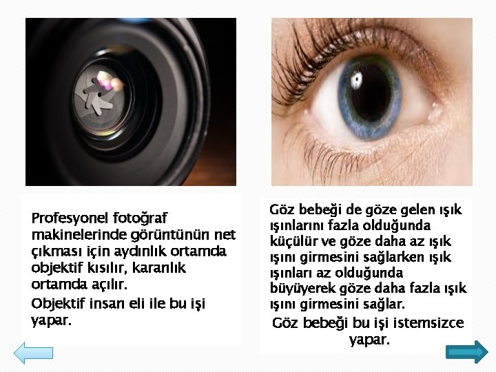 Profesyonel fotoğraf makinelerinde görüntünün net çıkması için aydınlık ortamda objektif kısılır, karanlık ortamda açılır.