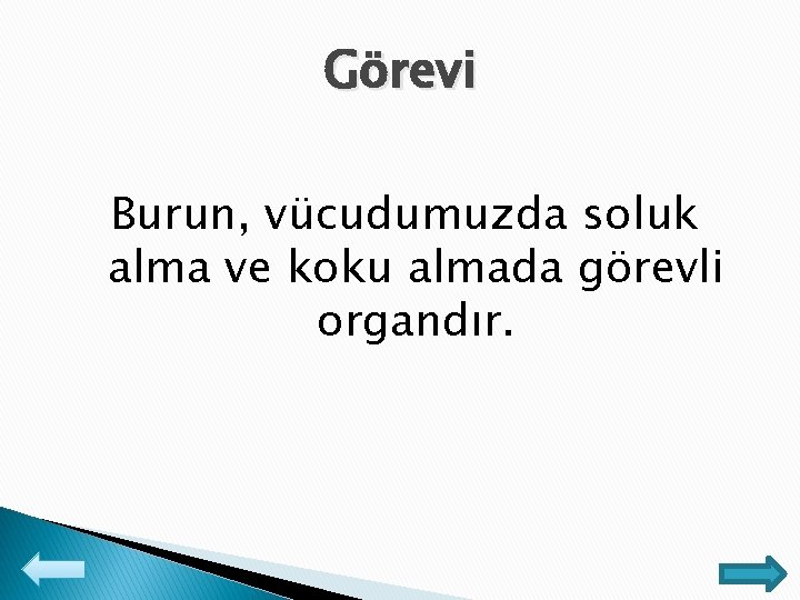 Görevi Burun, vücudumuzda soluk alma ve koku almada görevli organdır. 