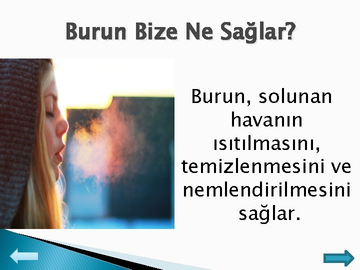 Burun Bize Ne Sağlar? Burun, solunan havanın ısıtılmasını, temizlenmesini ve nemlendirilmesini sağlar. 