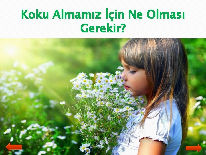 Koku Almamız İçin Ne Olması Gerekir? 