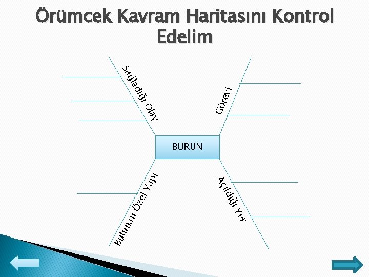 Örümcek Kavram Haritasını Kontrol Edelim ay Ol Gö rev i ı dığ ğla Sa