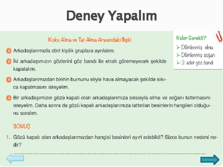 Deney Yapalım 