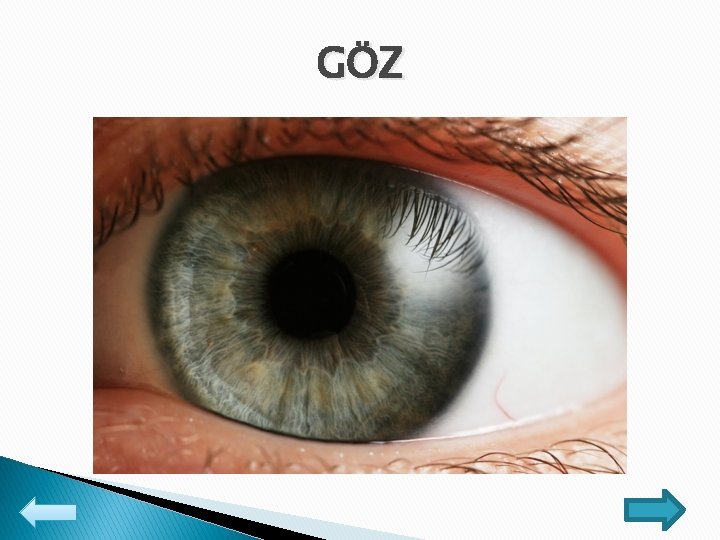 GÖZ 