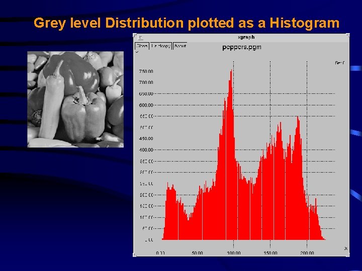 Grey level Distribution plotted as a Histogram 