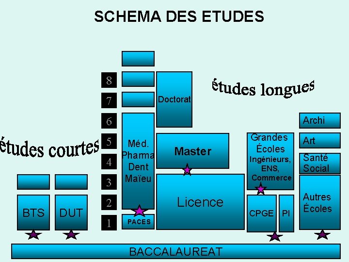 SCHEMA DES ETUDES 8 7 Doctorat 6 5 4 3 BTS DUT Archi Méd.