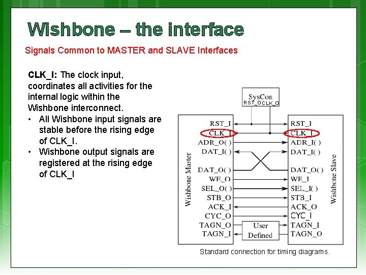 Wishbone – the interface Signals Common to MASTER and SLAVE Interfaces CLK_I: The clock