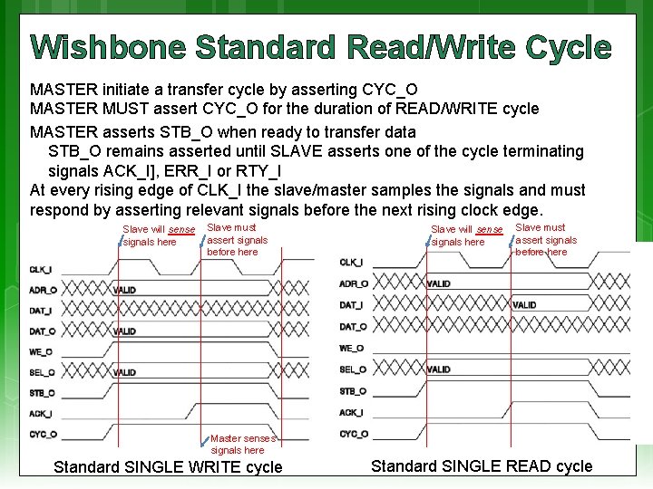 Wishbone Standard Read/Write Cycle MASTER initiate a transfer cycle by asserting CYC_O MASTER MUST