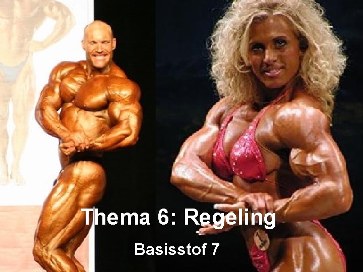 Thema 6: Regeling Basisstof 7 
