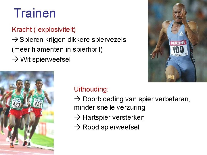 Trainen Kracht ( explosiviteit) Spieren krijgen dikkere spiervezels (meer filamenten in spierfibril) Wit spierweefsel