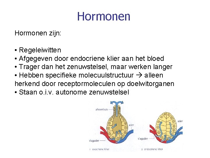 Hormonen zijn: • Regeleiwitten • Afgegeven door endocriene klier aan het bloed • Trager