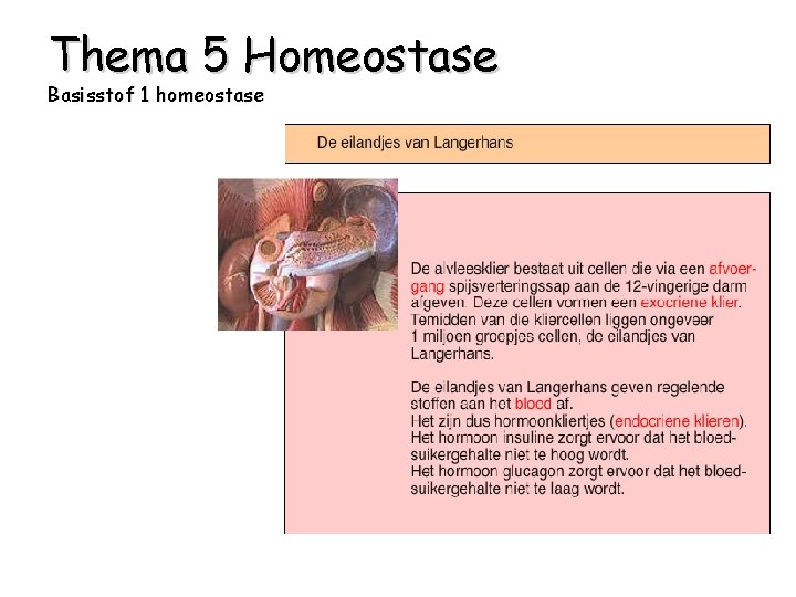 Thema 5 Homeostase Basisstof 1 homeostase 