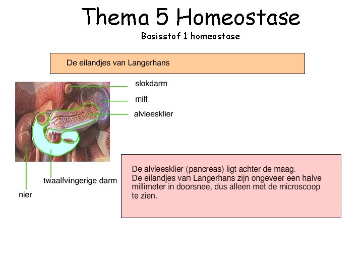 Thema 5 Homeostase Basisstof 1 homeostase 