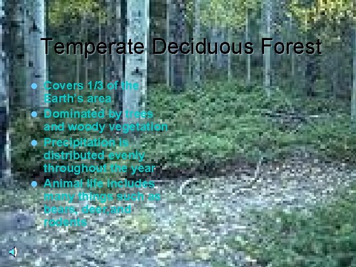 Temperate Deciduous Forest Covers 1/3 of the Earth’s area l Dominated by trees and