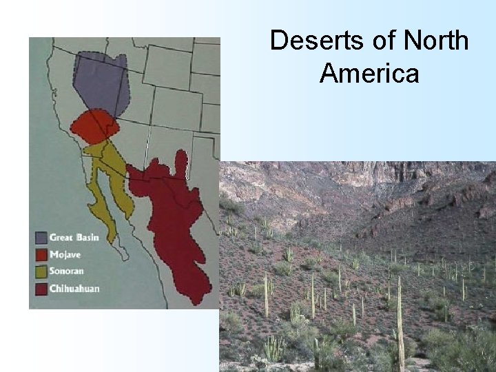 Deserts of North America 