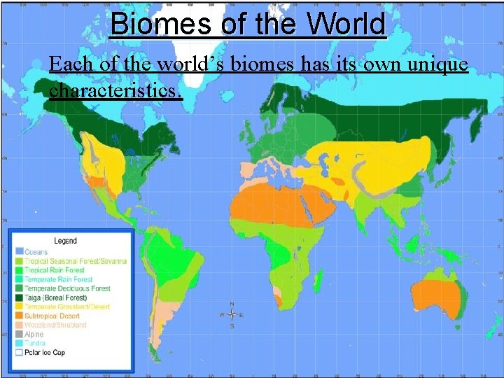 Biomes of the World l Each of the world’s biomes has its own unique